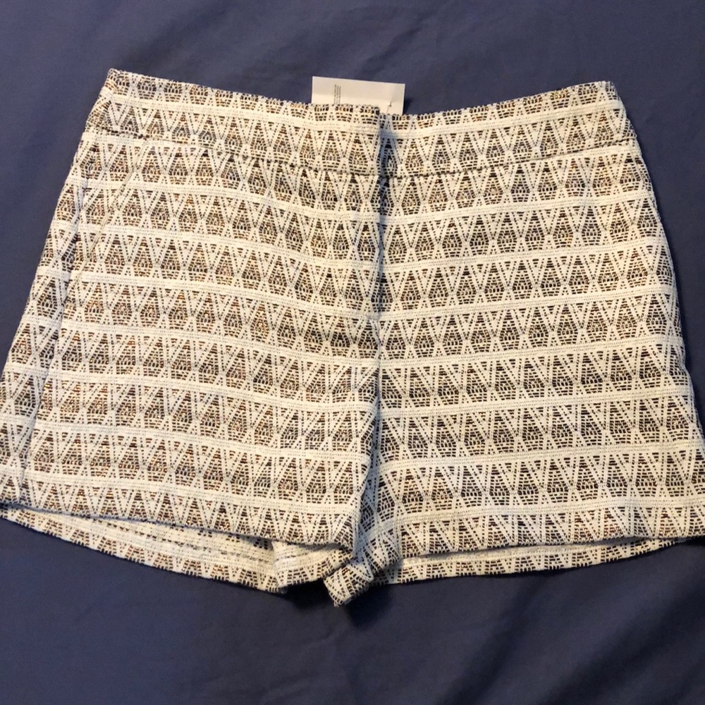 Loft shorts